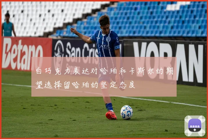 白巧克力表达对哈珀和卡斯尔的期望选择留哈珀的坚定态度
